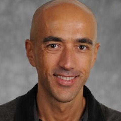 Alessandro Orso