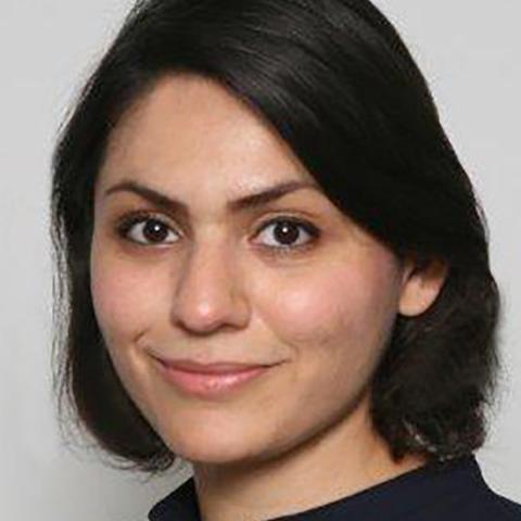 Farzaneh Badiei Farzaneh Badiei