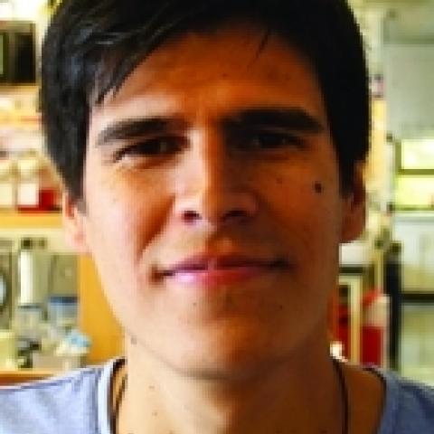 Felipe Garcia Quiroz