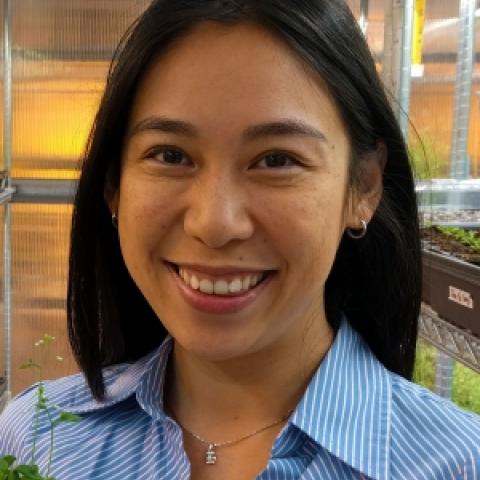 Lily Cheung