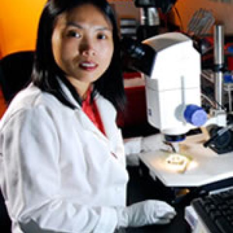 Yuhong Fan