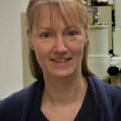 Ingeborg Schmidt-Krey Ingeborg Schmidt-Krey
