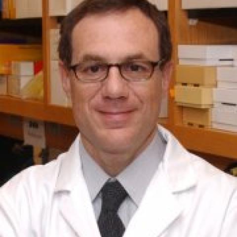 Roberto Pacifici