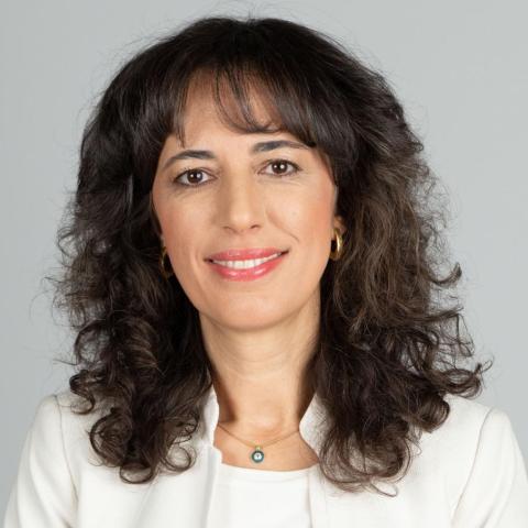 Pinar Keskinocak