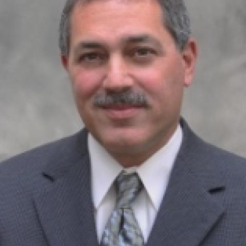 Bo Rotoloni 